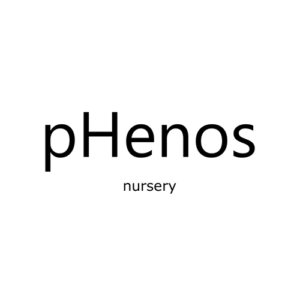 pHenos Nursery Logo