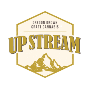 Up Stream Logo